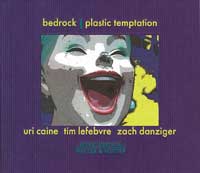 Enlarged view of image