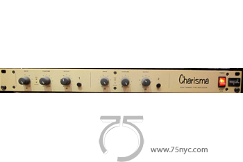 Enlarged view of image