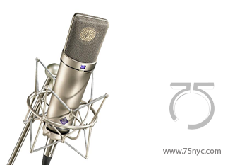 Enlarged view of image